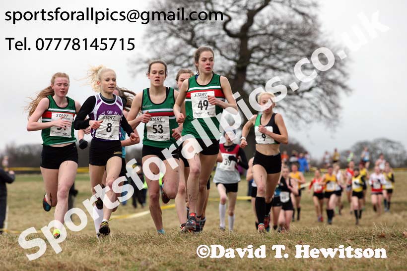 Junior womens 2018 Northern Cross Country Champs., Harewood House, Leeds. Photo: David T. Hewitson/Sports for All Pics